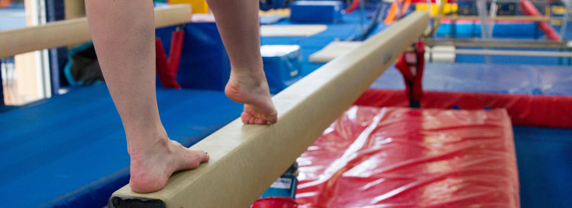 Inland Northwest Gymnastics photo